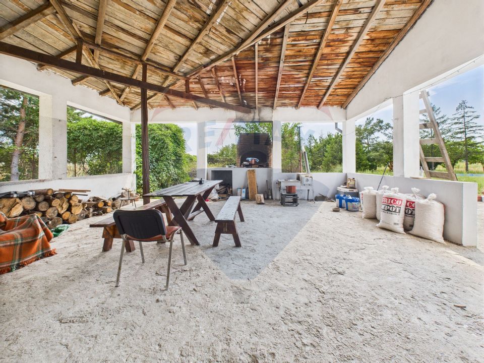 Proprietate speciala Dragomiresti Deal -Teren 15000 mp