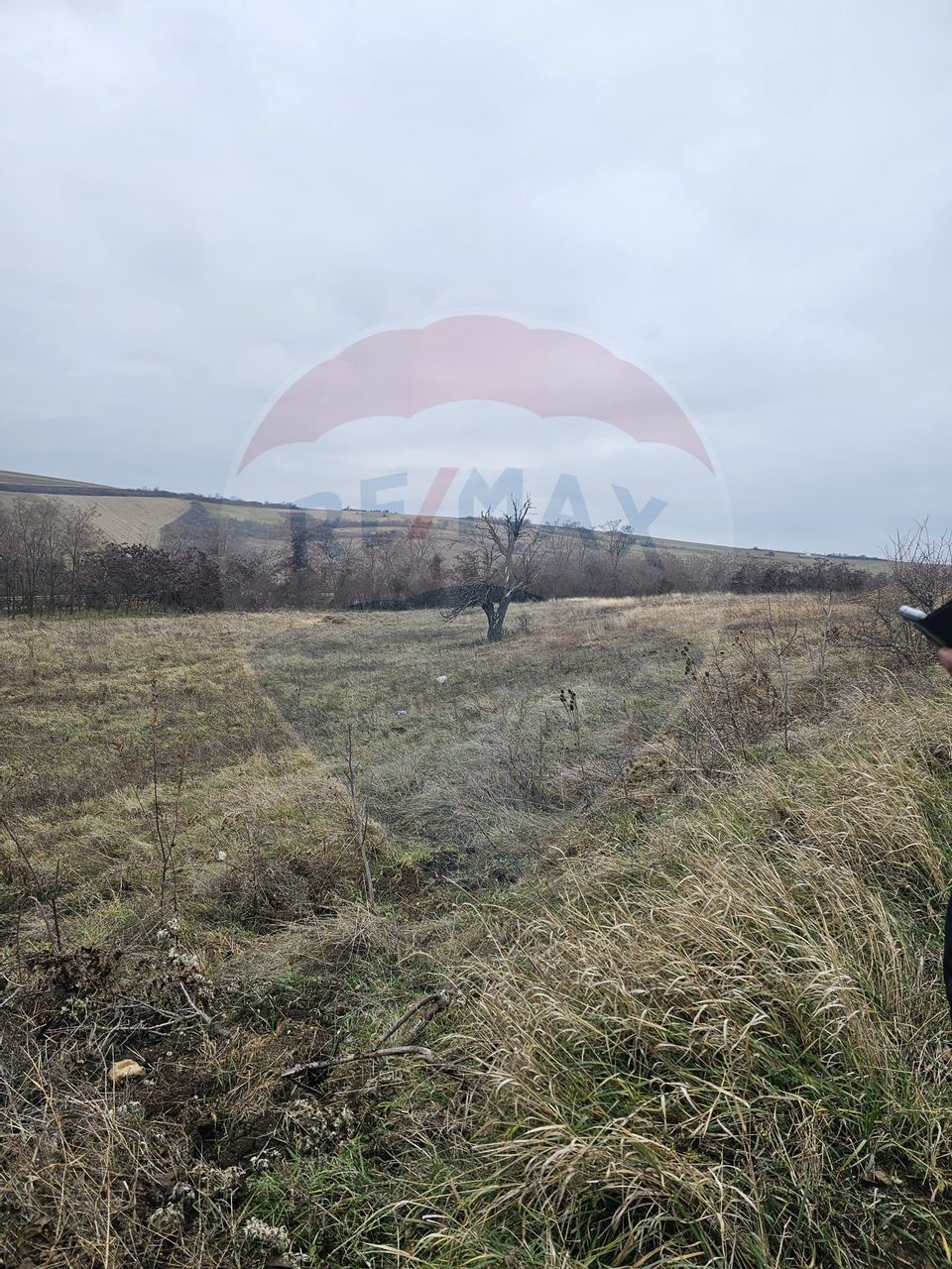 Land 1,000sqm Sura Mare / Strada Brazilor