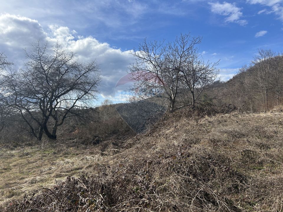 Teren 2,868mp /case/ duplexuri /Baia Mare / Strada Sanatatii Panoramic