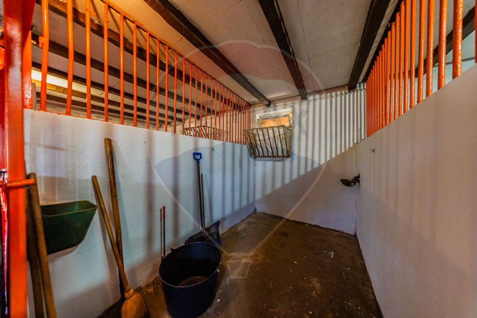 Land 4,000sqm Zadareni / Drumul Drumul principal