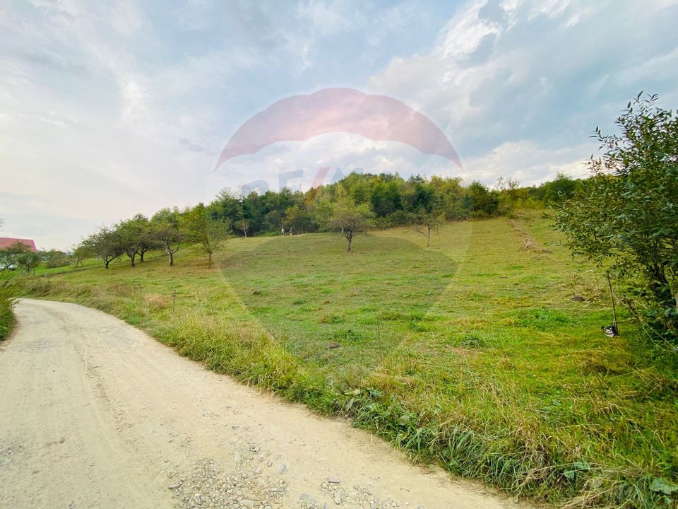 COMISION ZERO - Teren 2339 mp in Barsana