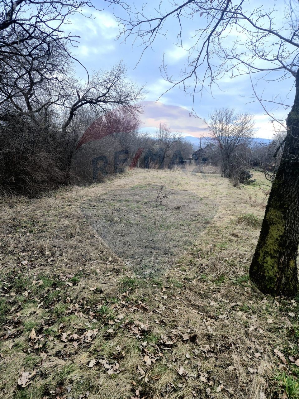 3 room House / Villa for sale