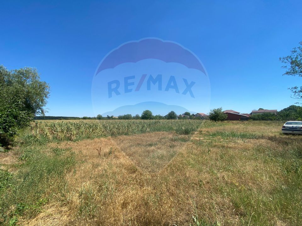 Land 500sqm Gulia / Strada Profesor Mirescu