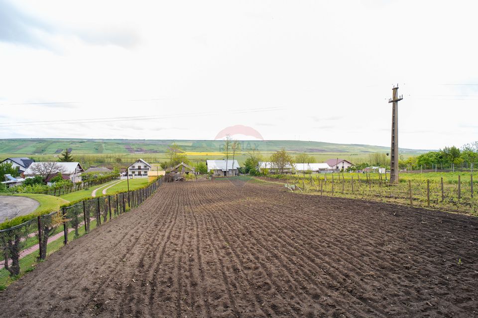 Casă / Vilă cu 10 camere, de vânzare. Todireni, Botoșani.