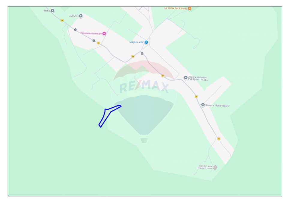 Teren intravilan, 9465 mp, Betfia, lângă pădure, de vânzare