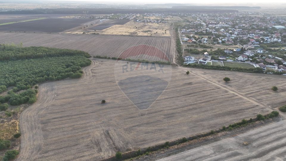 Teren investitie, intravilan Tamasi / Buftea