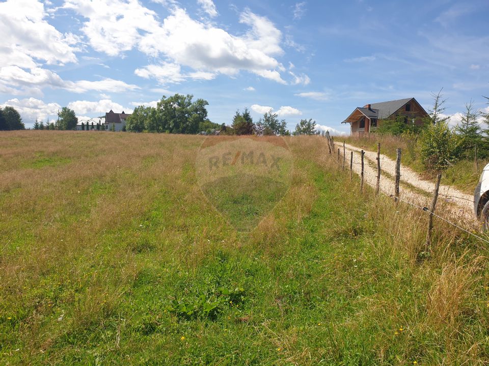 Teren intravilan, 12704 mp, Sat Ciocanu (com Dâmbovicioara)