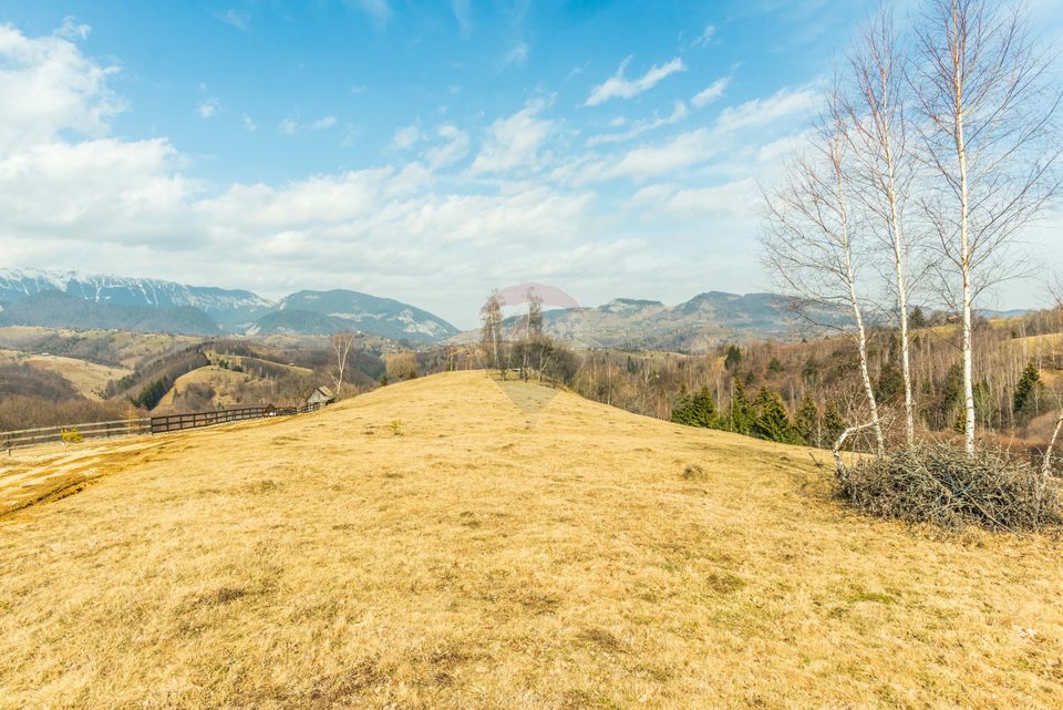 Comision 0%! Teren Moieciu de Jos 1500 mp