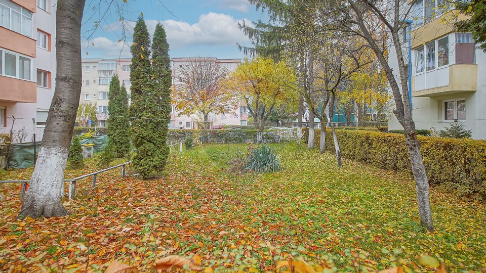 Apartament cu 2 camere de vânzare în zona Central