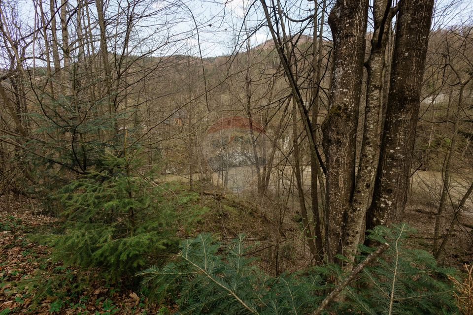 Land 30,283sqm Cazaci / Strada Principala DC 135