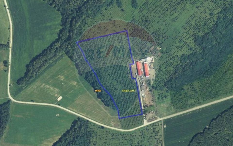 Land 70,808sqm Cuied / Drumul pp