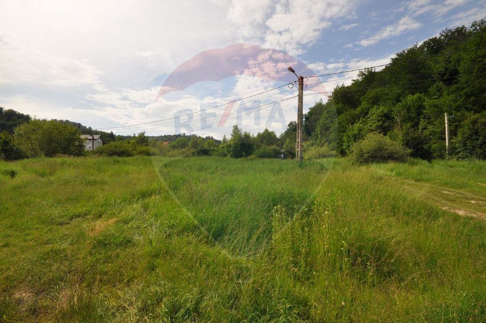 Teren Brasov - Noua, la marginea padurii
