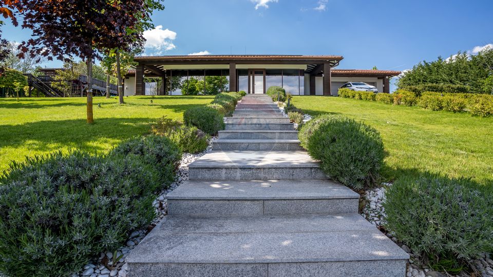 Preț Preferențial- Ofertă limitată pana la 31 Decembrie