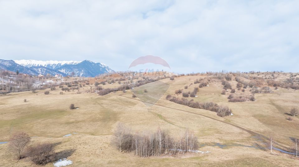 Land 4,500sqm Tohanu Nou / Strada Cernilei