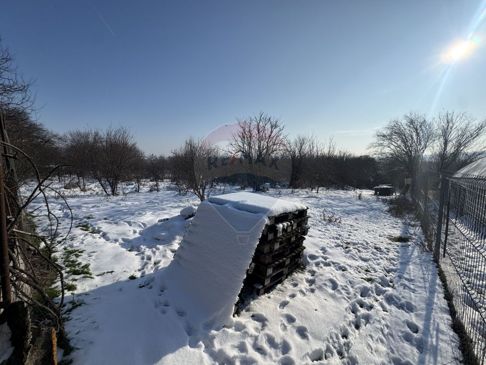 Land 4,870sqm Sintesti / Soseaua Principala