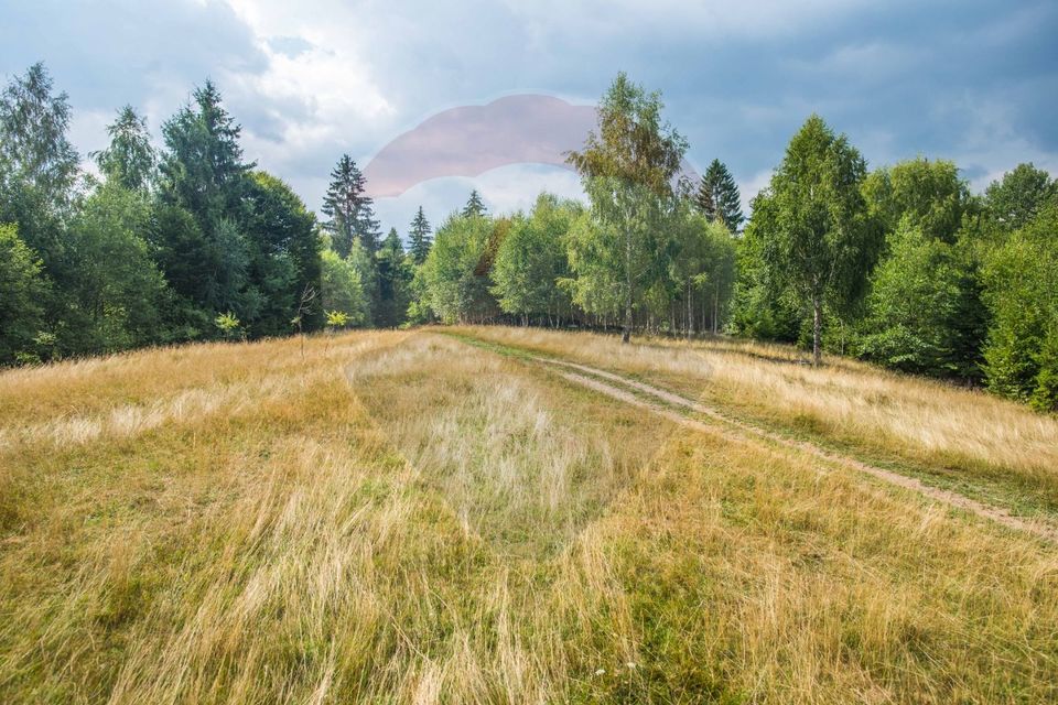 Teren extravilan Moieciu 45316mp