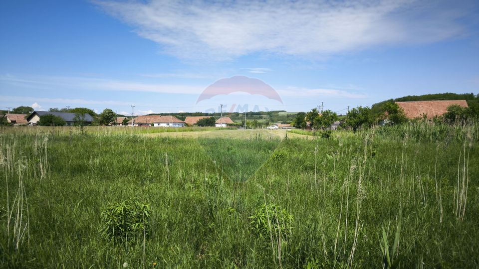 Teren de vânzare – Blăjel, jud. Sibiu | 15.360 mp - partial intravilan