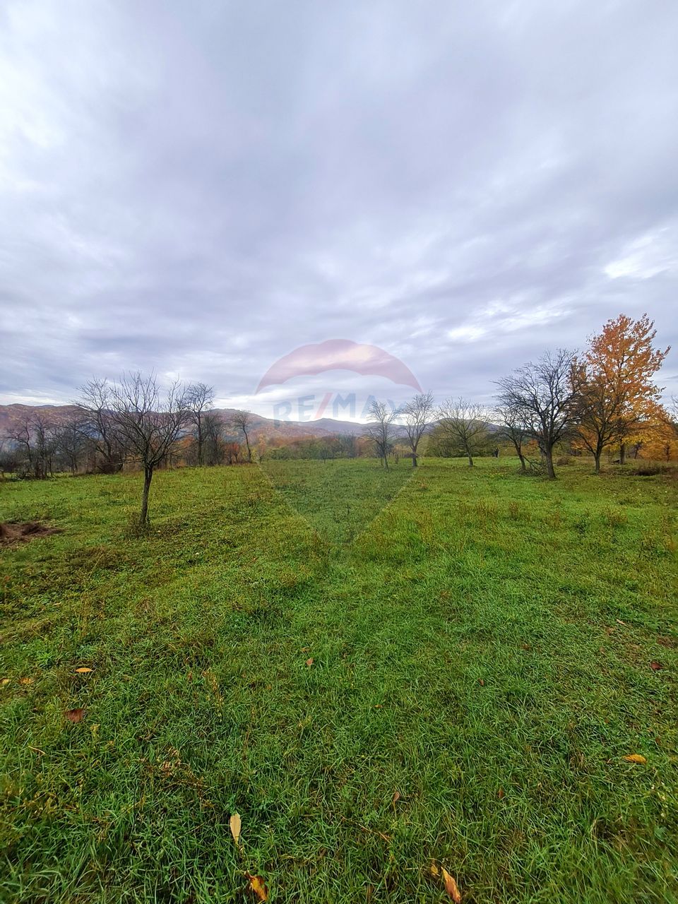 Land 7,370sqm Mera / Strada Alexandru Ioan Cuza