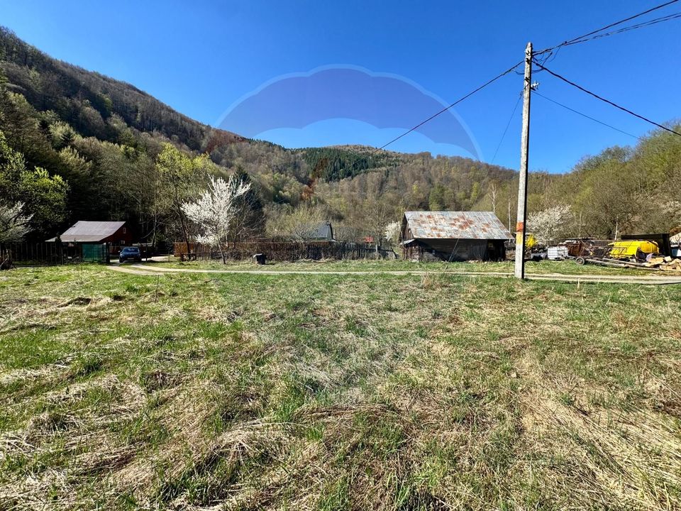 Teren Tarnița / Lăpușești