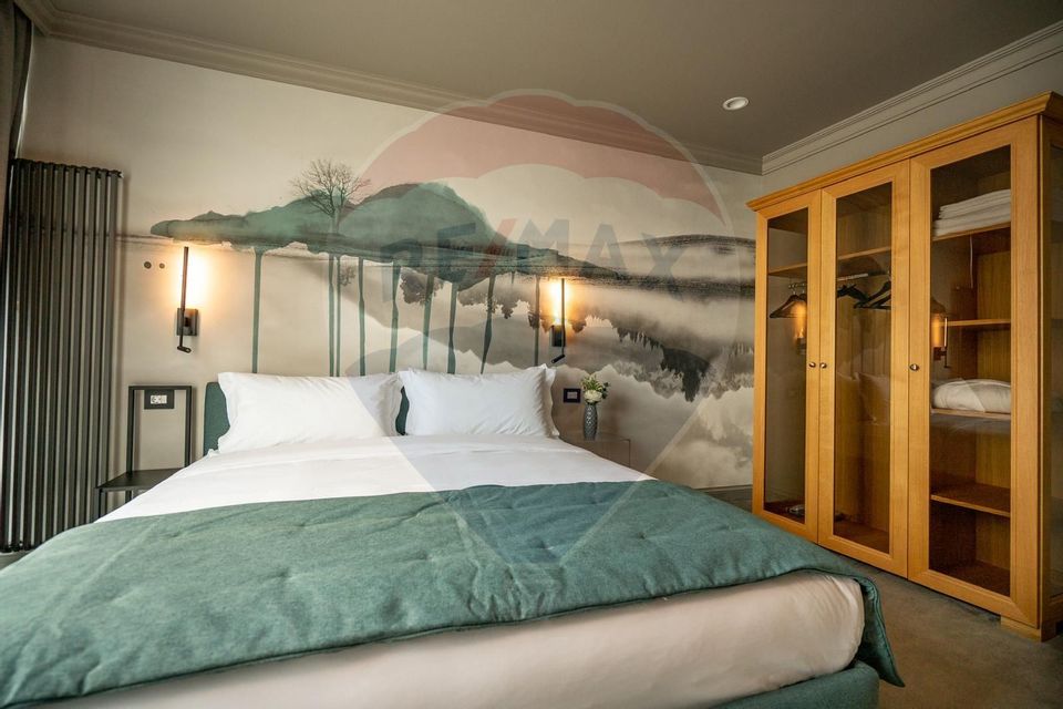 12 room Hotel / Pension for sale, Ultracentral area