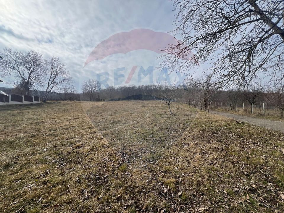 Land 2,600sqm Garleni / Strada Peot Negru Cezar