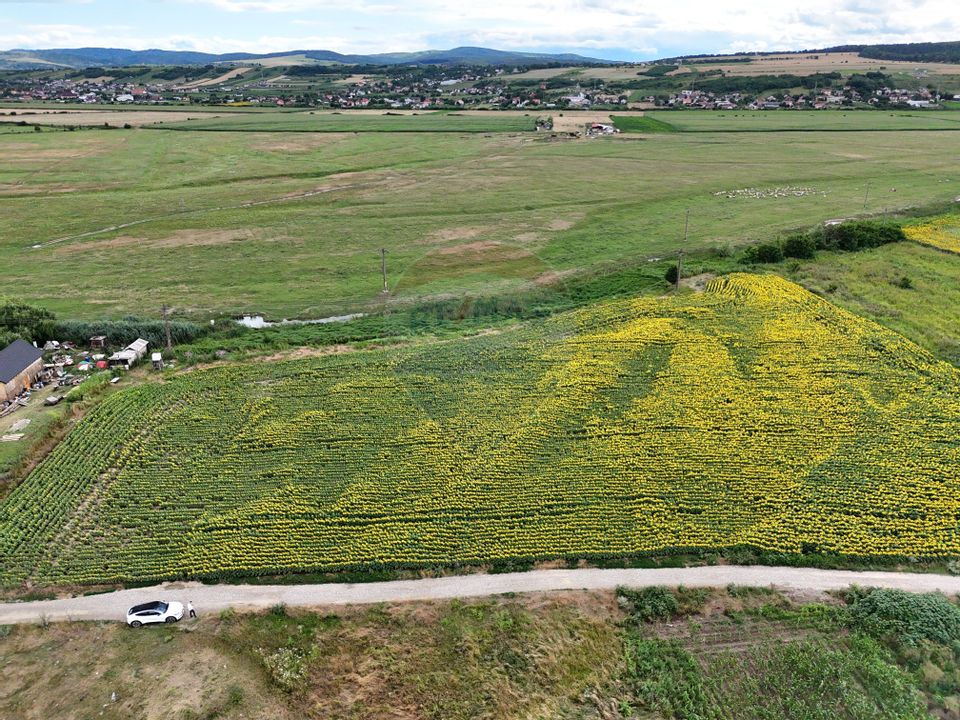 Land 3,091sqm Lilieci / Strada Tulbuc