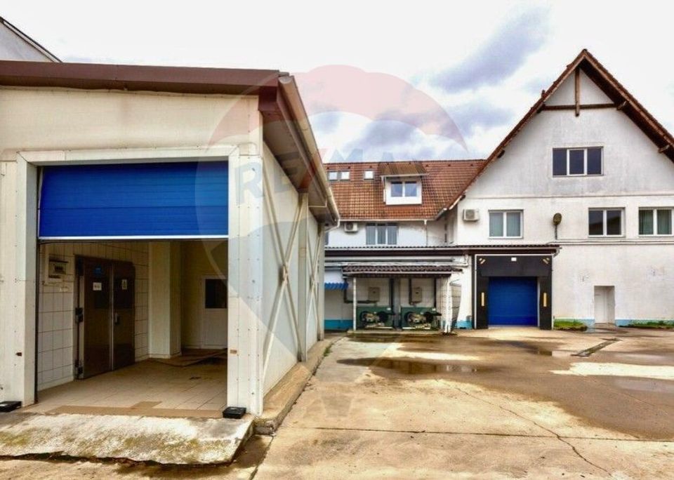 Fabrica de preparate si conserve din carne  la Medias