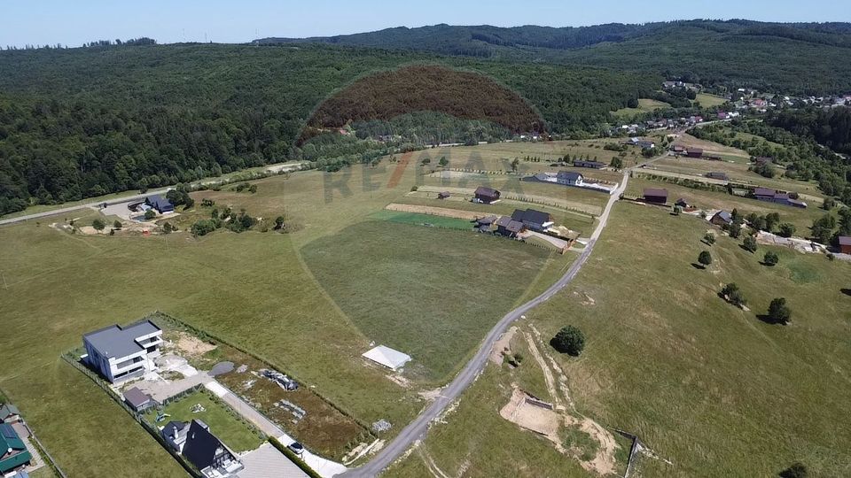 Land 3,757sqm Paltinoasa / Strada principala