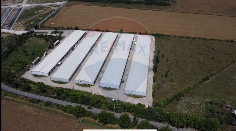 Land 15,700sqm Afumati / Strada Moara Domneasca