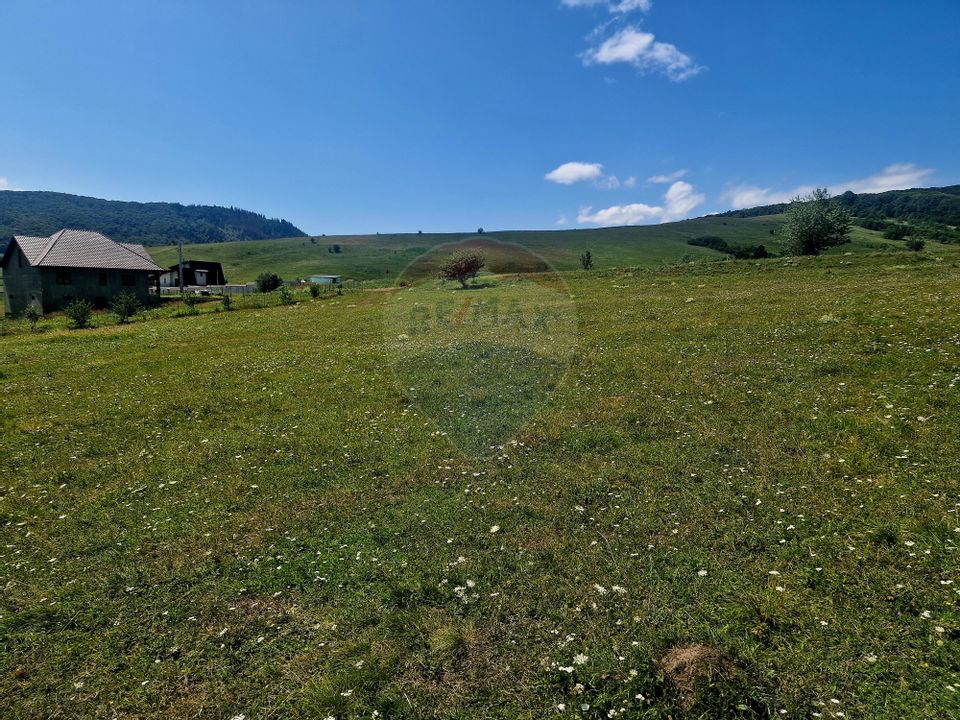 Land 5,000sqm Piatra-Neamt / Strada Punct Petruca