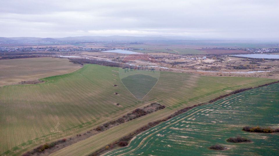 Land 310,000sqm Catunu (Berceni) / Intrarea tarla 17