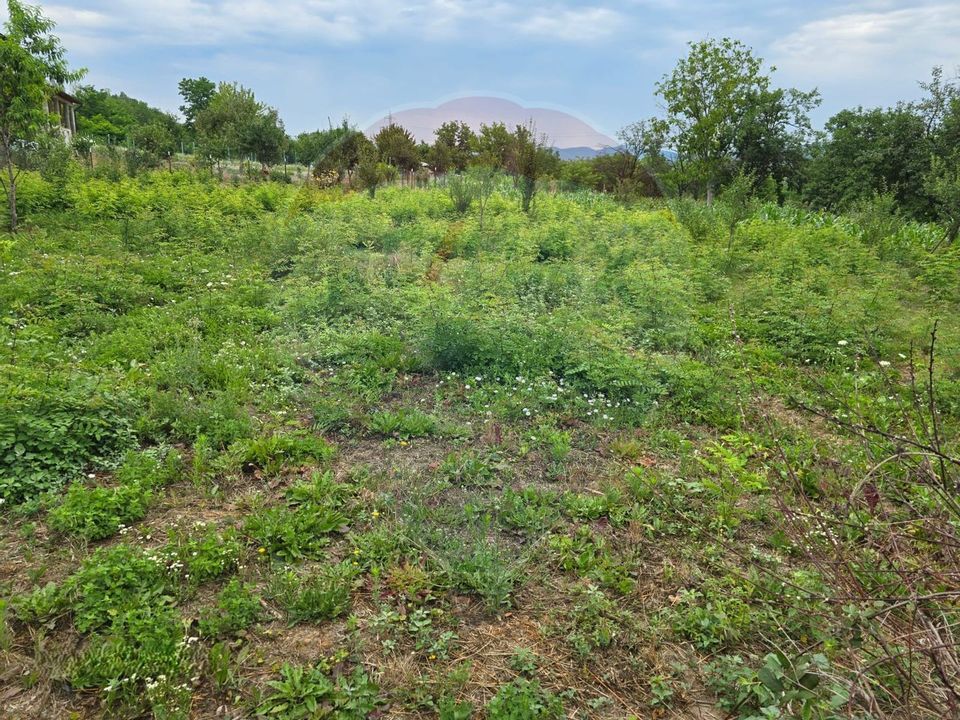 3 room House / Villa for sale