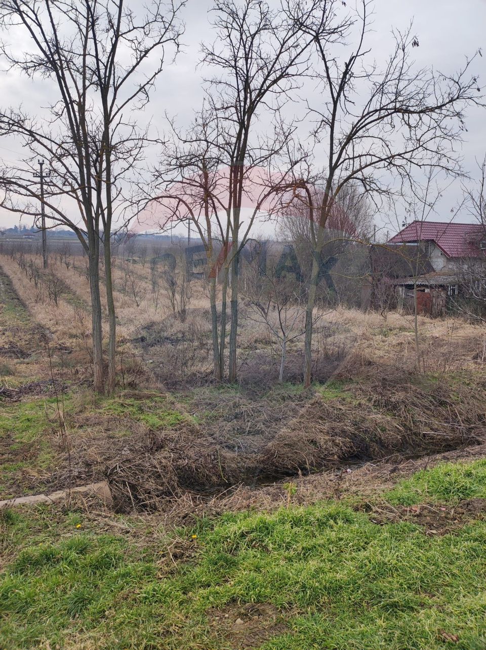 Teren 2.341 mp Uileacu de Munte front 25 ml la drum asfaltat