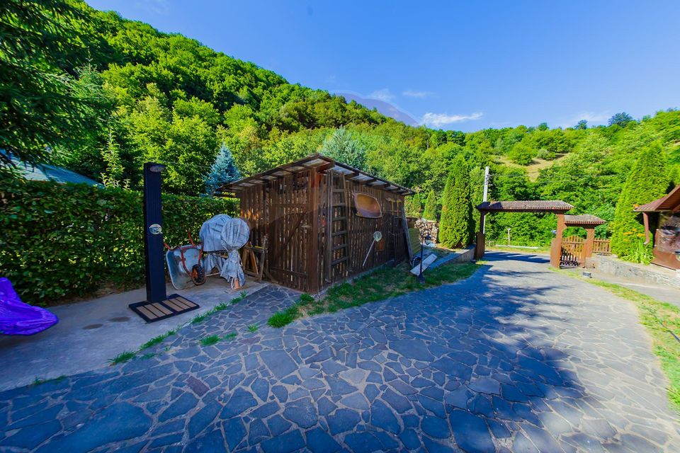 CASA DEOSEBITA DE VANZARE INTRERAURI, COAS