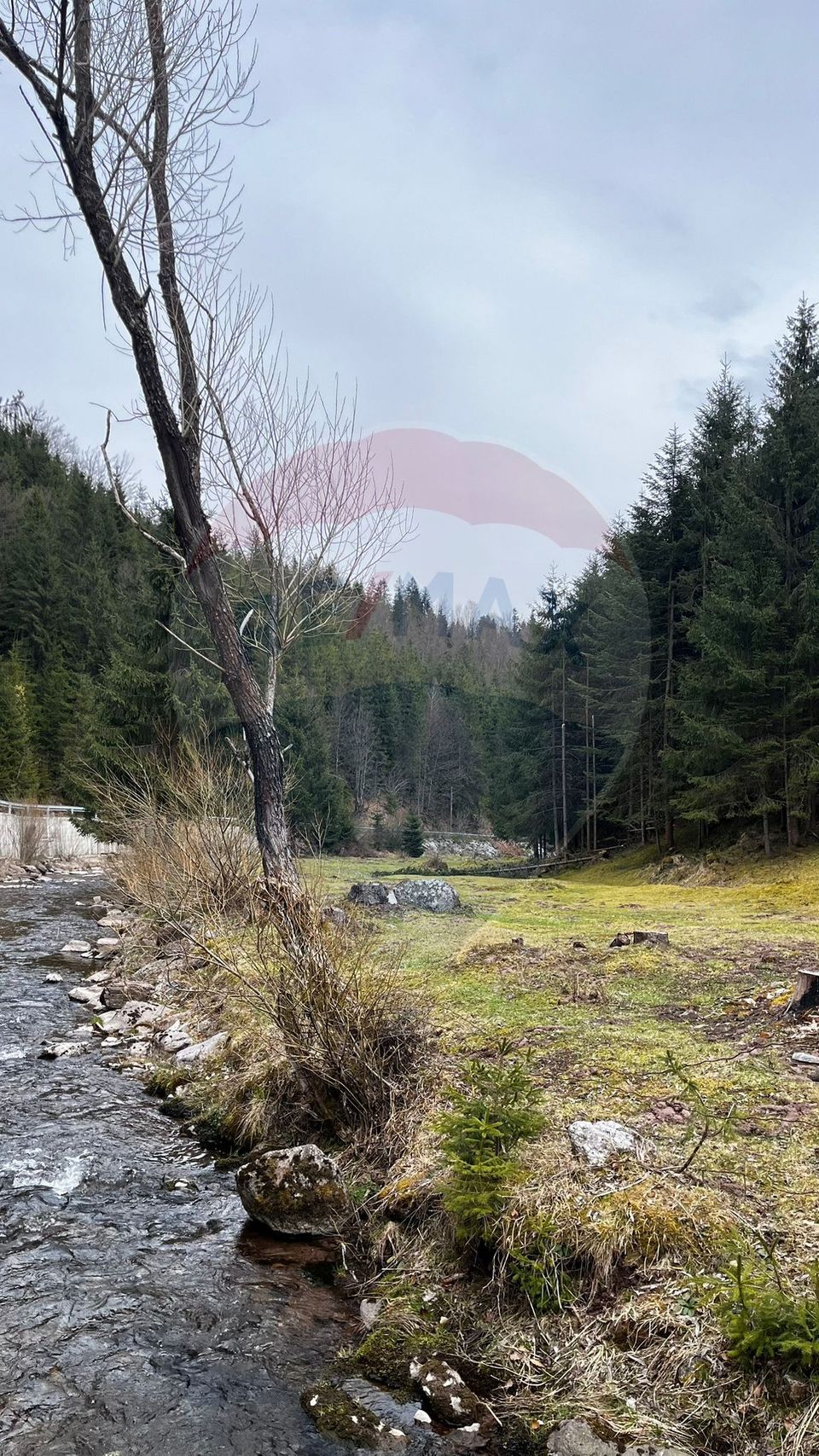 Arieșeni–Strada Fața Cristesei -Teren 4.331 mp cu Peisaj de Poveste