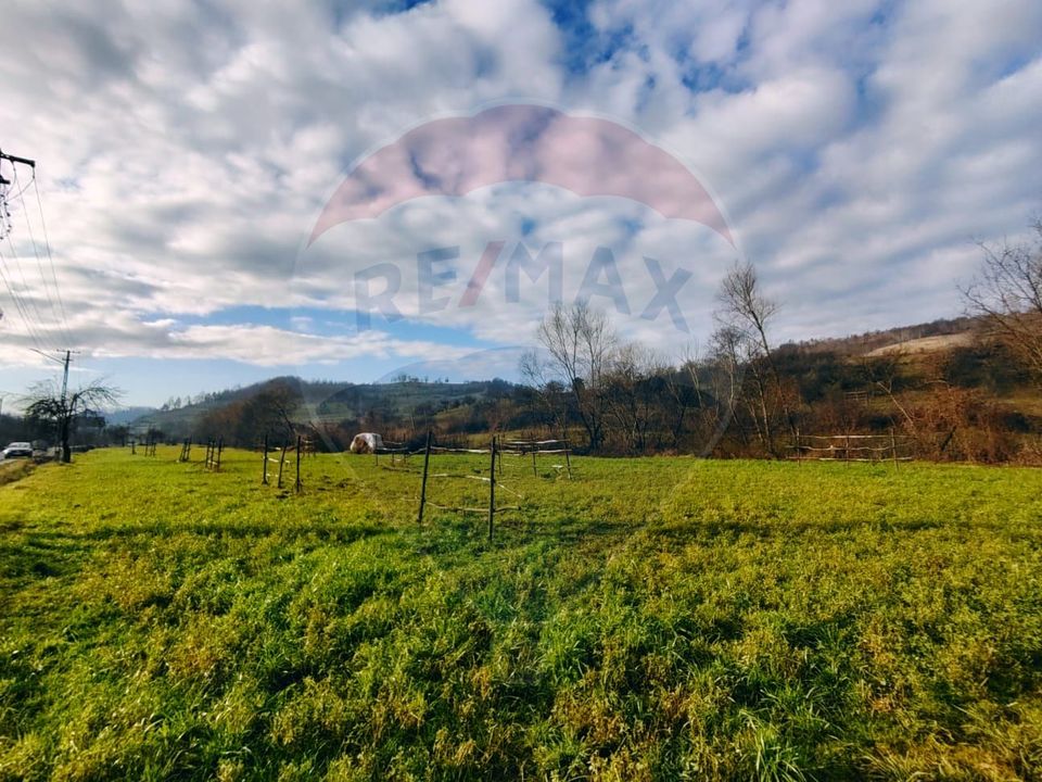 COMISION 0%  Teren intravilan de vanzare in Barsana (26 ARI)