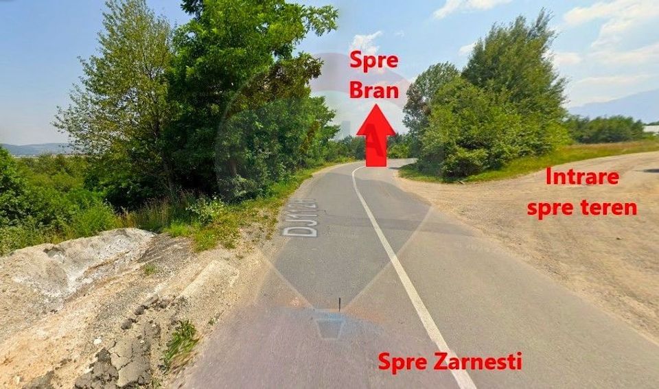 Land 4,223sqm Zarnesti / Strada Tohanita