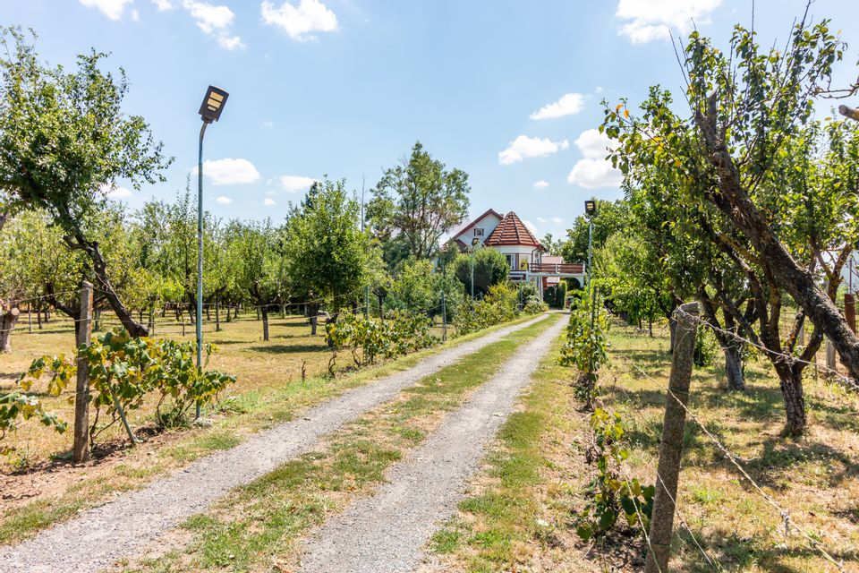 Casa+Laborator+ Teren 12.700 mp + casa de vacanta - Bolintin Vale