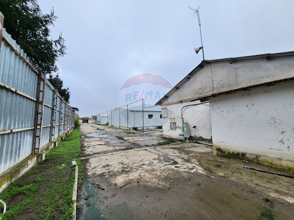 Hala depozitare sau productie Ciorogarla | Darvari 2.9 E/mp