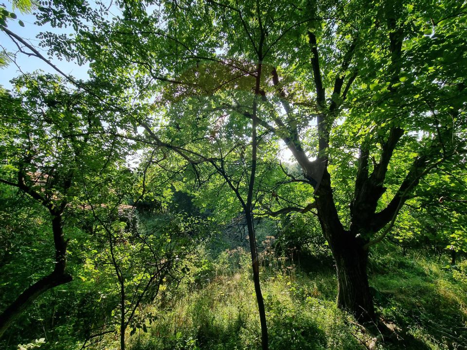 Teren cu Casa Veche in suprafata de 6000 mp, Breaza de Jos -Parcelabil