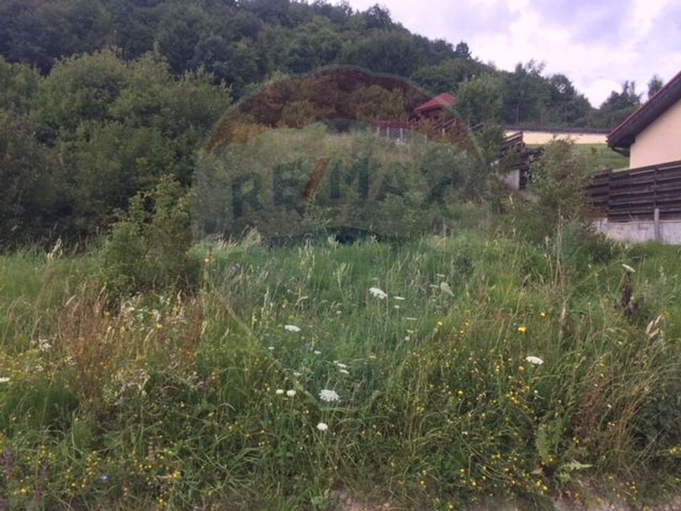 EXCLUSIVITATE! Vanzare teren in Feleacu- Valea Caprioarei, comision 0%