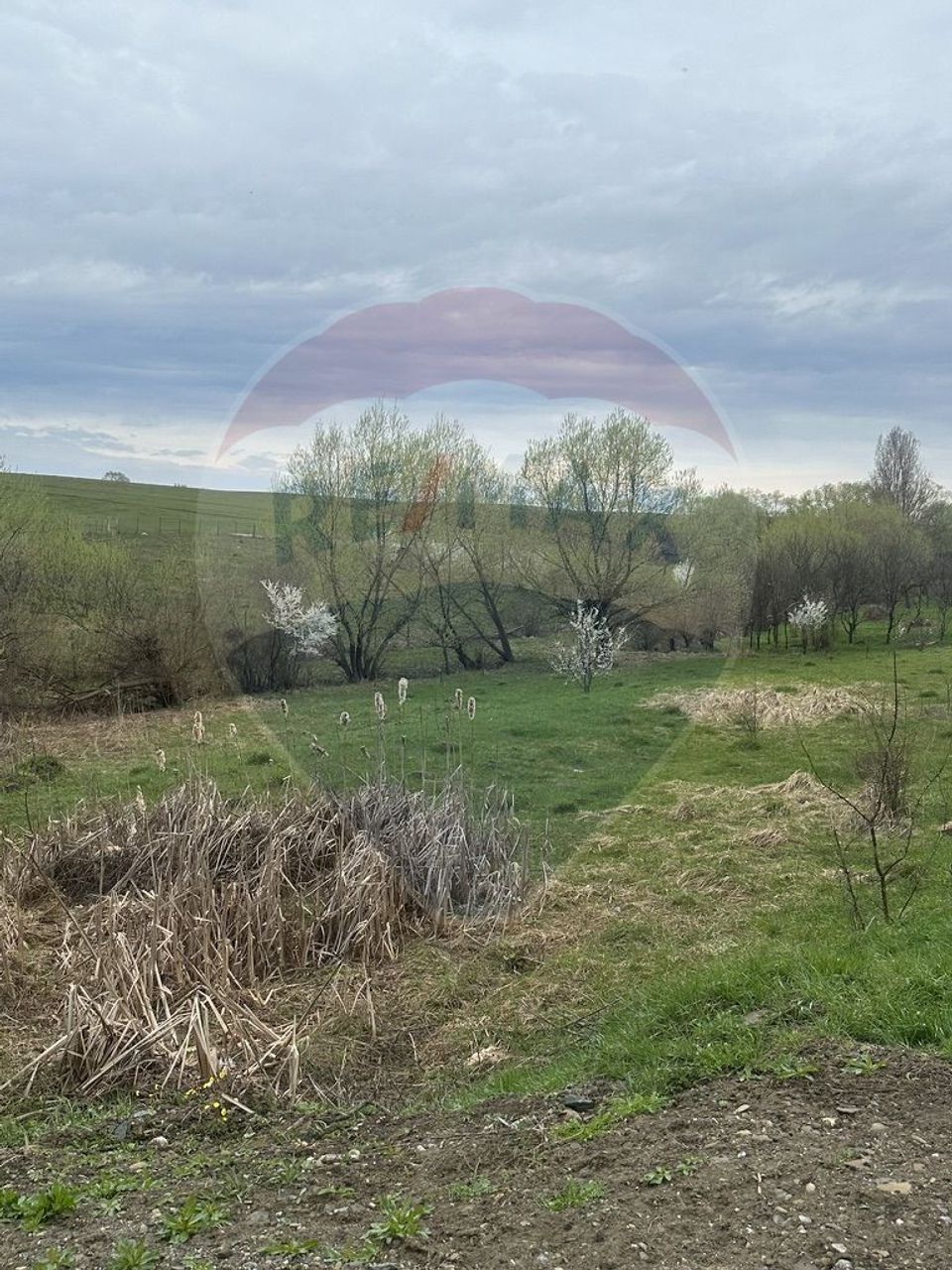 Teren 2,700mp Scheia / DJ 209C