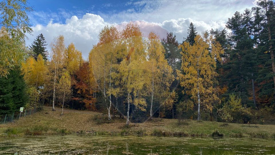 Guesthouse for sale | 12 rooms | Bisoca / Buzau