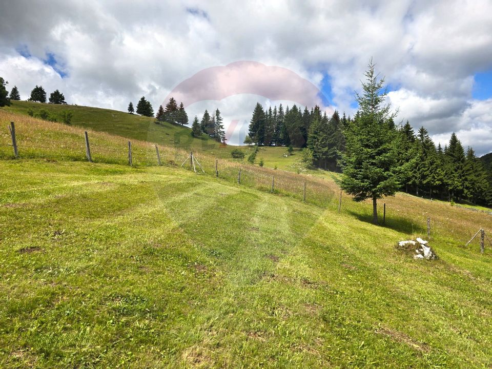 Teren de vis în Fundata 1934mp sau 3868mp, la înălțimea sufletului tău