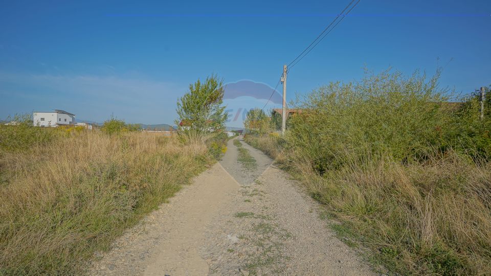 Teren de vânzare 1,000mp Cristian  - intravilan