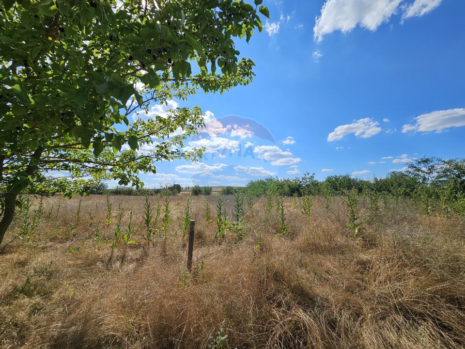 Teren intravilan de vanzare in localitatea Salcioara / jud. Tulcea