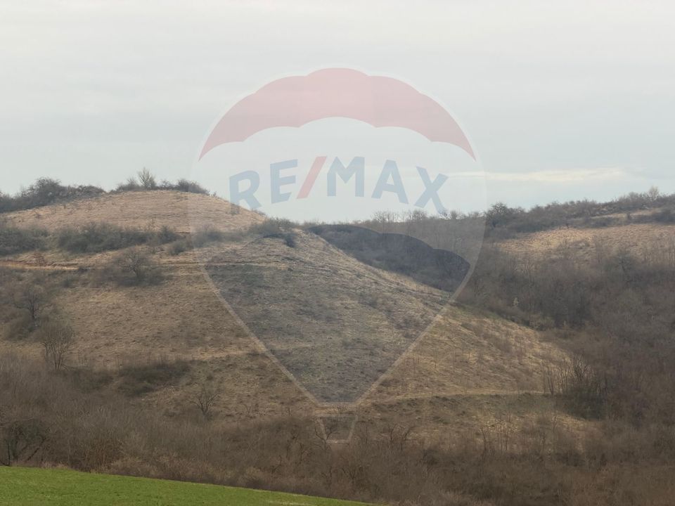 Land 18,800sqm Criseni / Strada principala