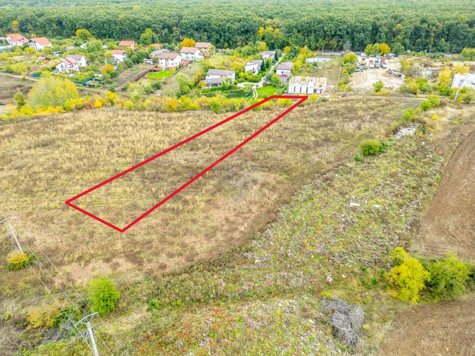 Land 2,987sqm Ciofliceni / Strada Radu cel Mare