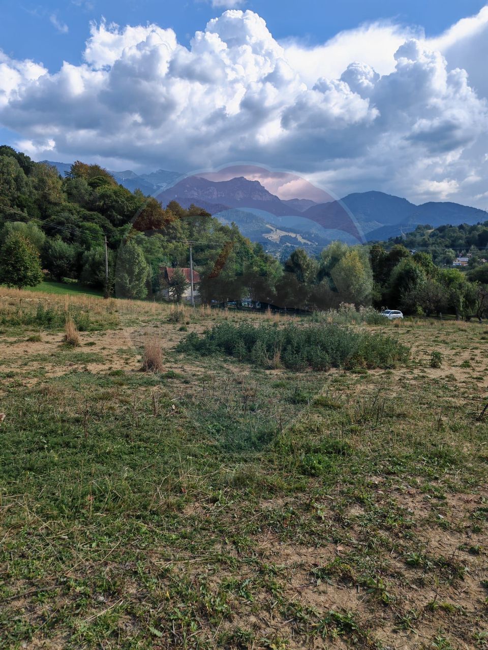 Land 5,174sqm Bran / Strada Colibasilor