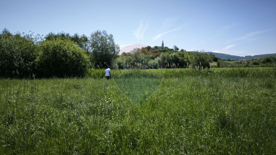 Teren de vânzare – Blăjel, jud. Sibiu | 15.360 mp - partial intravilan